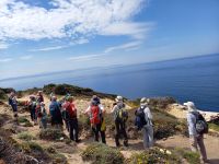 Am südlichsten Punkt von Korsika