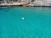 Taucherbucht mit imposanter Möwe