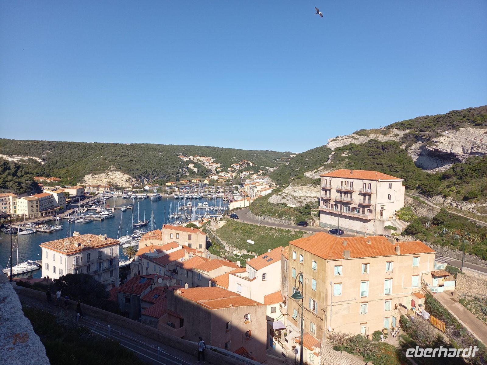 Blick auf den Hafen von Bonifacio
