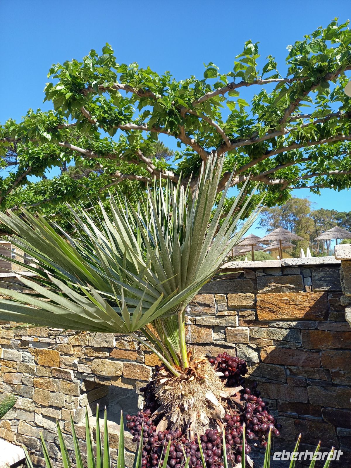  Hotel La Lagune, Bastia