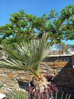  Hotel La Lagune, Bastia