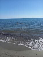 Hotel La Lagune, Strand 