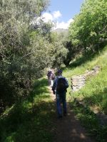 Tavignano-Schlucht