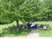 Picknickstimmung bei der  Anreise nach Reims 