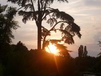 Sonnenuntergang von der domaine Thomeau aus 