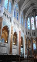 Chartres Kathedrale Fenster 