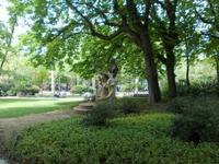 Im Luxembourg Park in Paris