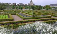 Villandry - Gemüsegarten