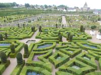 Villandry - Liebesgarten
