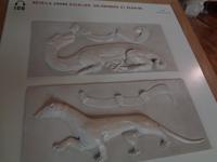 Salamander und Hermlin