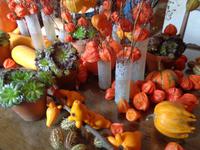 Château de Chenonceau