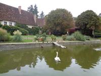 Château de Chenonceau