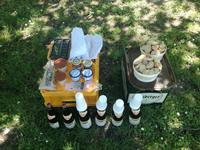 105. Picknick beim Schloss Chambord