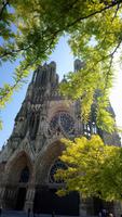 DSC_0216Kathedrale reims (11)