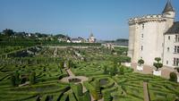 DSC_0298Villandry (8)