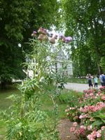 Azay-le-Rideau Schloss