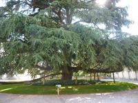 Tours Bischofspalast