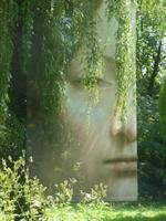 Amboise, Clos Luce, Park