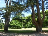 Chenonceau, Park