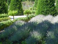 Chenonceau, Schlossküchengarten