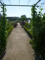 Cheverny, Küchengarten