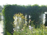 Cheverny, Küchengarten