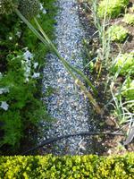 Cheverny, Küchengarten