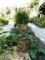 Im Garten des Clos Lucé