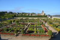 Blick auf den Garten 