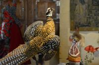 ein Fasan gehörte dazu