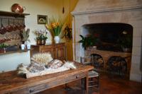 ein Blick in die Küche