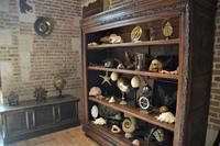 wissenschaftliches und persönliches Kabinett mit Messinstrumenten und anderem