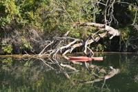 Schönheit der Natur