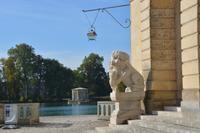 am Rande des Karpfenteichs