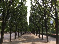 Paris - Jardin du Luxembourg