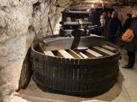 Weinprobe mit Kellerbesichtigung