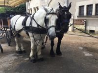 mit 2 PS durch Blois