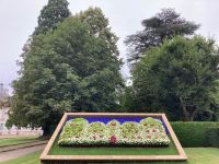 Lasst Blumen sprechen oder zeigen...