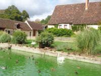 Wirtschaftsgebäude und Gärten