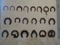 Wirtschaftsgebäude und Gärten