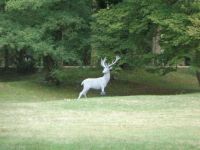 Wirtschaftsgebäude und Gärten