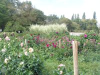 Wirtschaftsgebäude und Gärten