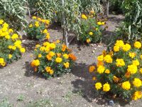 Wirtschaftsgebäude und Gärten