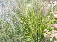 Wirtschaftsgebäude und Gärten