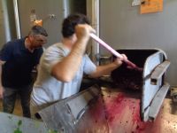 Caves du Père Auguste