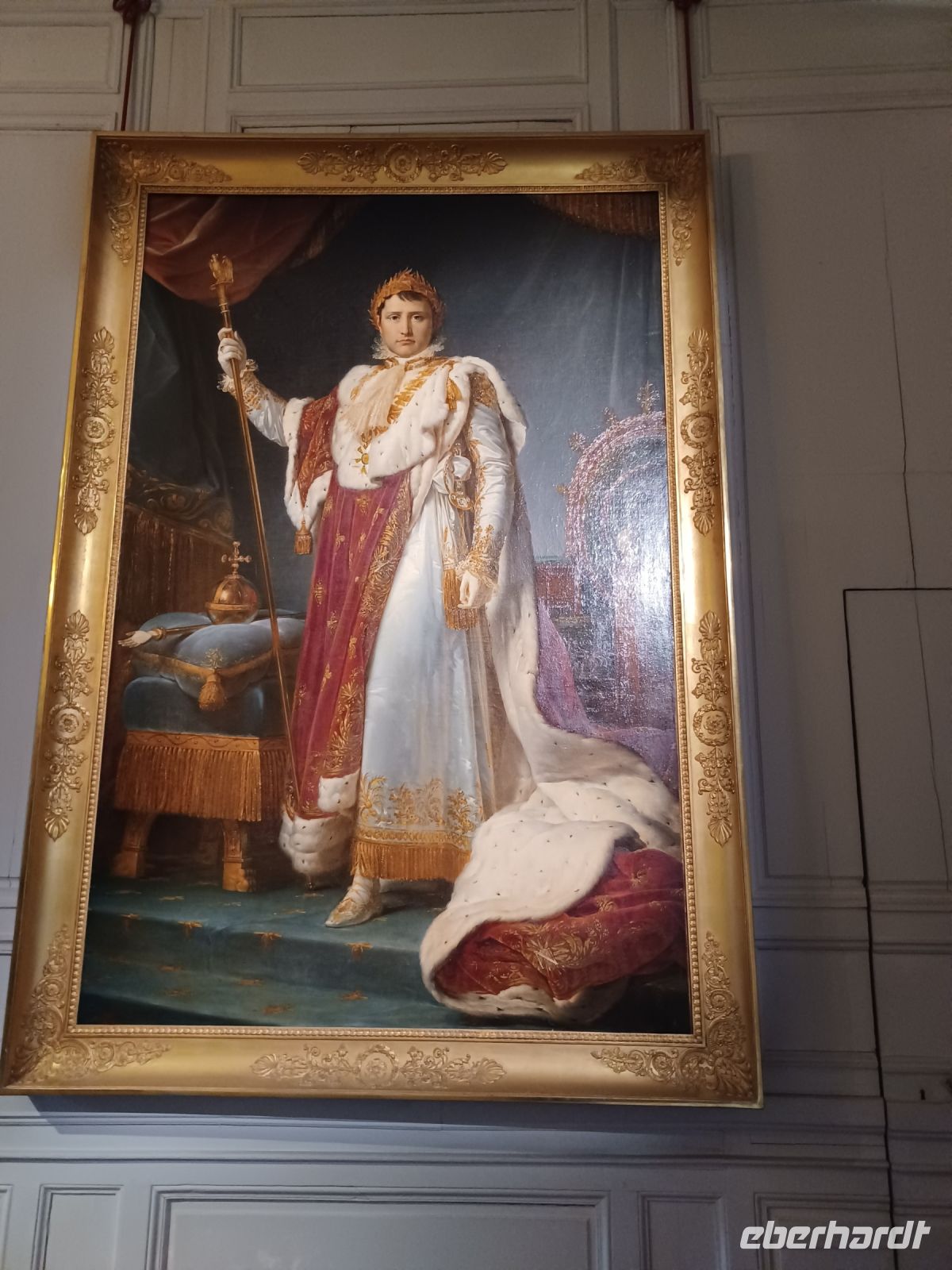 Napoleon -Kaiserbild