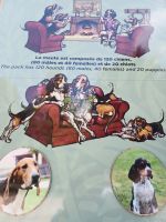 Schloss Cherverny:120  Jagdhunden geht es gut im Schloss