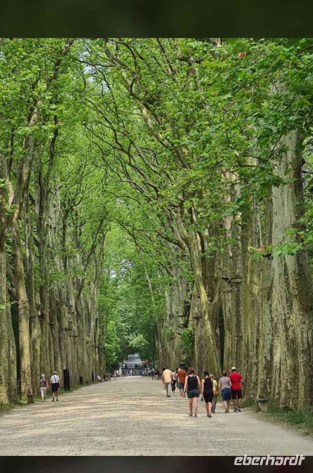 Chenonceau - Schlossallee