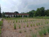 Chenonceau - Gärtnerei