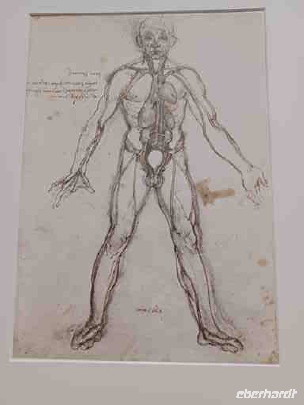 Clos-Lucé - Medizinische Studien von Leonardo da Vinci